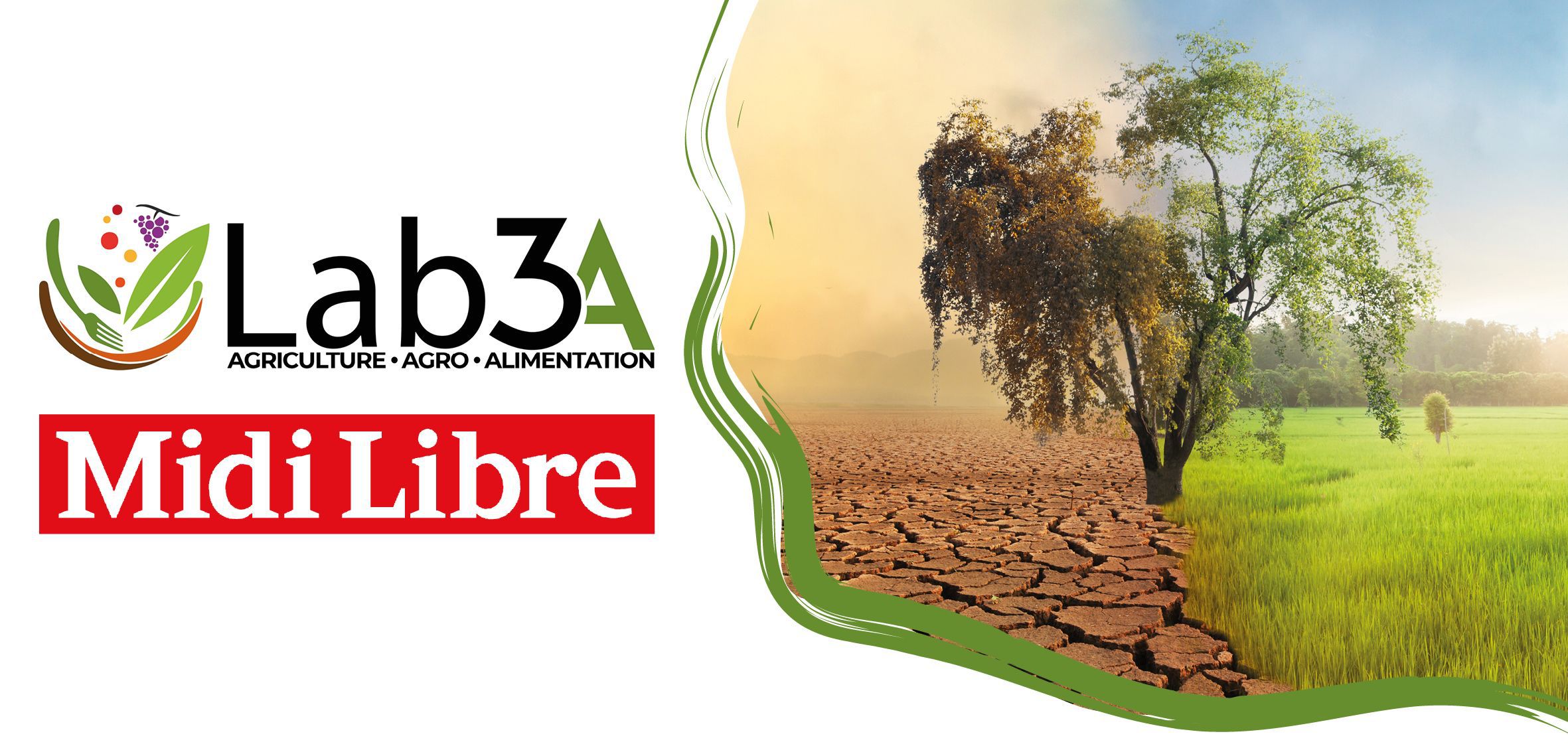 Lab3A Midi-Libre du 10 mars : comment l’agriculture se prépare au changement climatique