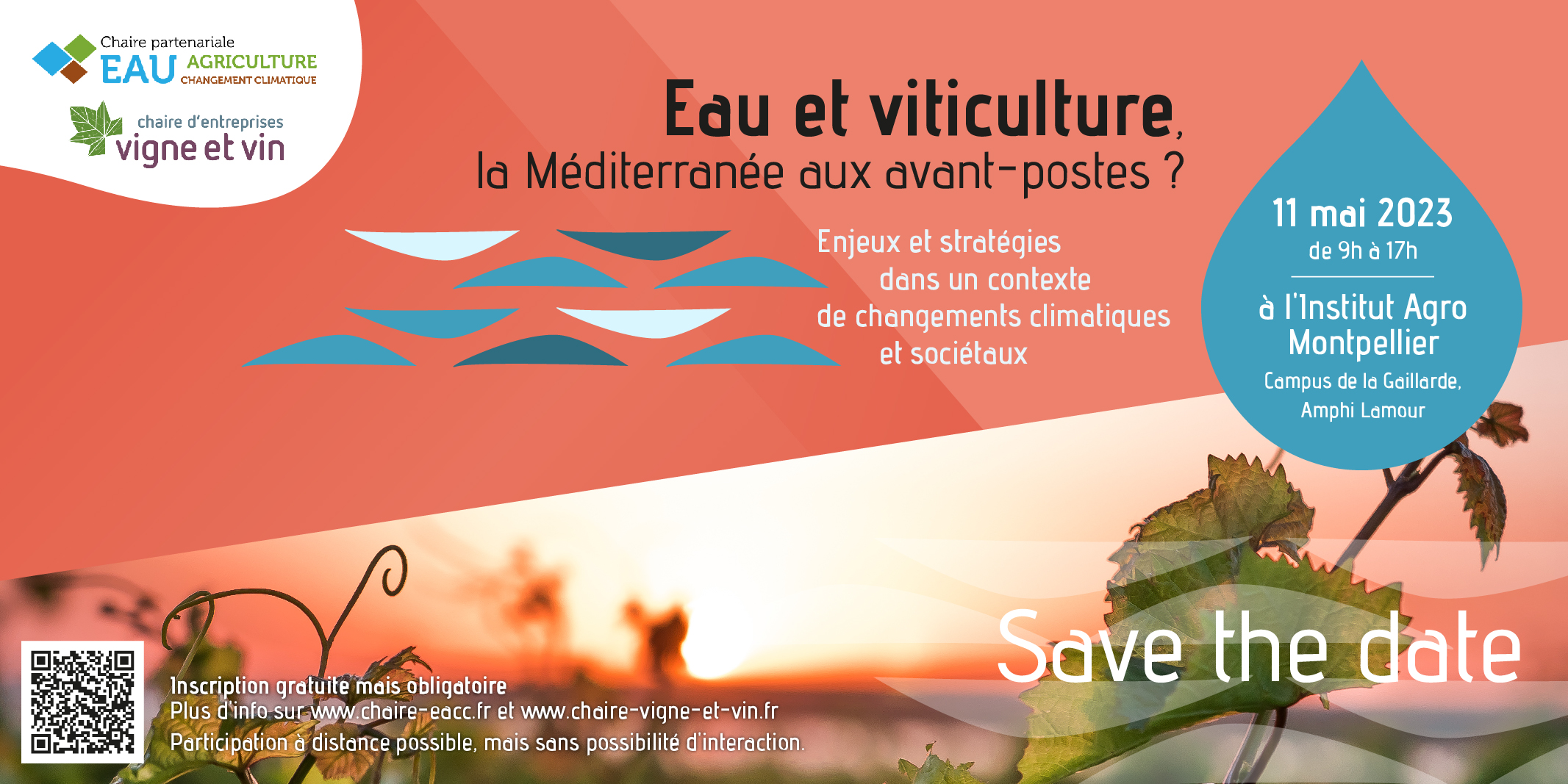 Eau et viticulture : la Méditerranée aux avant-postes ? Séminaire le 11 mai à l’Institut Agro Montpellier